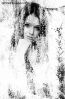 /album/galleria-foto-homepage2/best-design-ph-denisjaxl-fotografo-padova-0232-jpg/